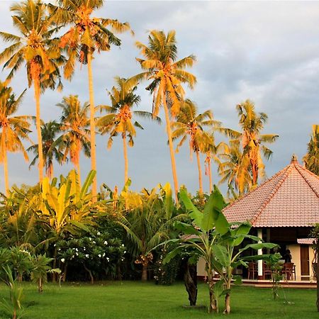 Bali Oase Resort بيموتيران المظهر الخارجي الصورة